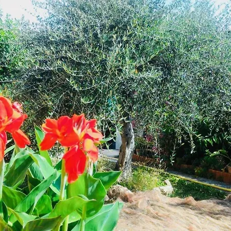 Anna Regione Bussi 57 Holiday home Imperia