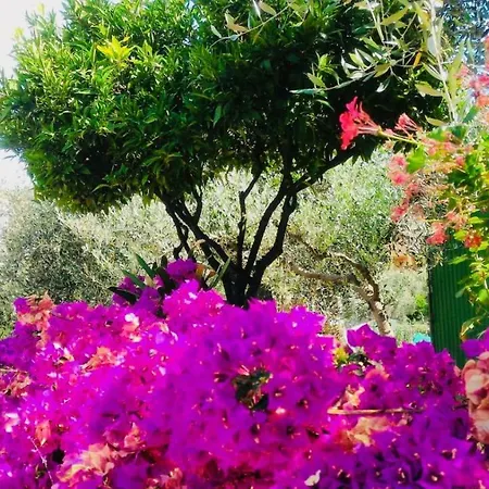 Holiday home Anna Regione Bussi 57