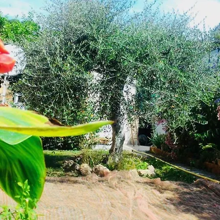 Holiday home Anna Regione Bussi 57